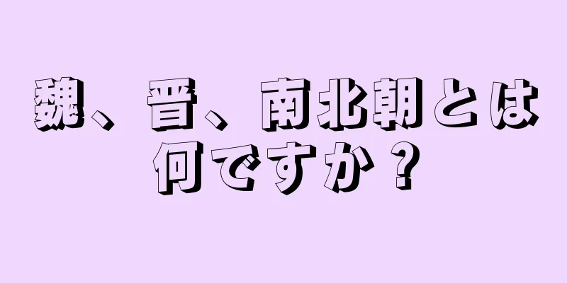 魏、晋、南北朝とは何ですか？