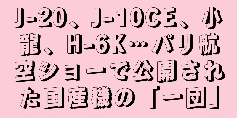 J-20、J-10CE、小龍、H-6K…パリ航空ショーで公開された国産機の「一団」