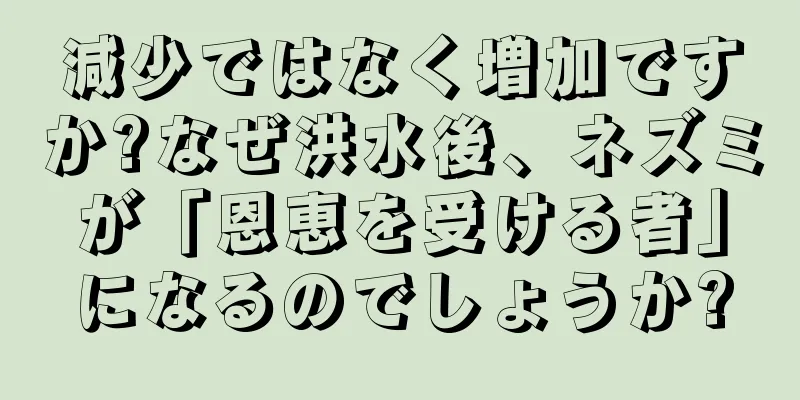 減少ではなく増加ですか?なぜ洪水後、ネズミが「恩恵を受ける者」になるのでしょうか?