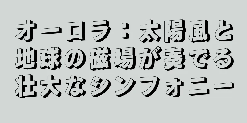 オーロラ：太陽風と地球の磁場が奏でる壮大なシンフォニー