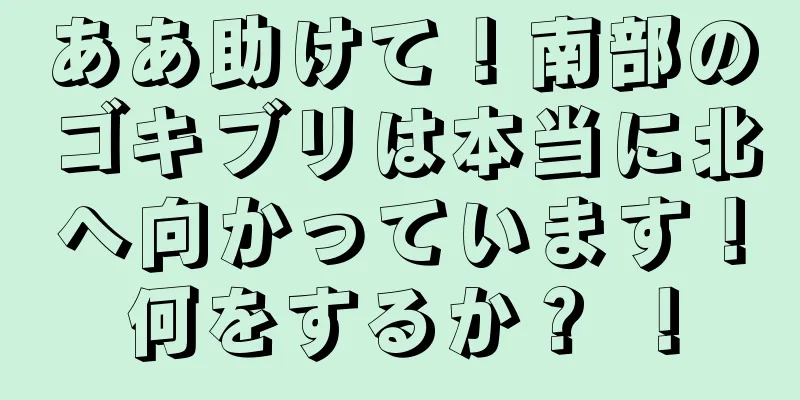 ああ助けて！南部のゴキブリは本当に北へ向かっています！何をするか？ ！