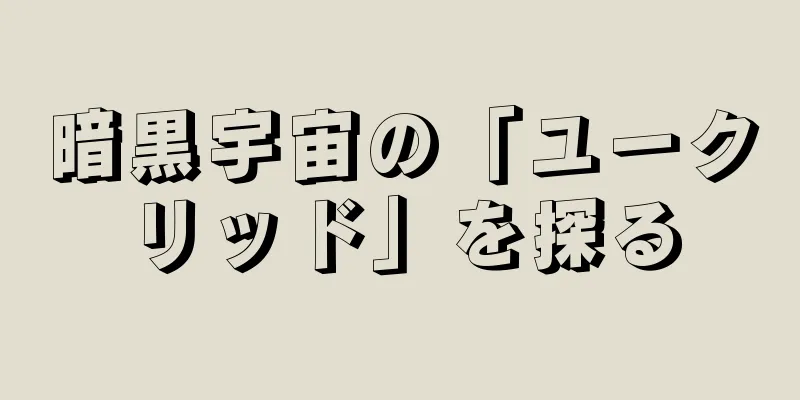 暗黒宇宙の「ユークリッド」を探る