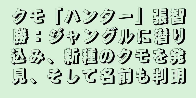 クモ「ハンター」張智勝：ジャングルに潜り込み、新種のクモを発見、そして名前も判明
