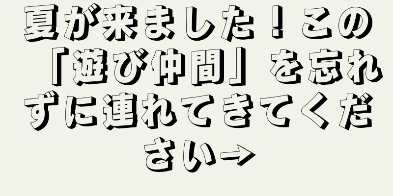 夏が来ました！この「遊び仲間」を忘れずに連れてきてください→