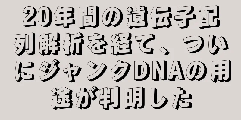 20年間の遺伝子配列解析を経て、ついにジャンクDNAの用途が判明した