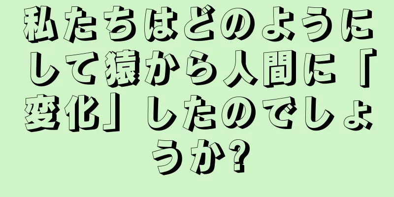 私たちはどのようにして猿から人間に「変化」したのでしょうか?