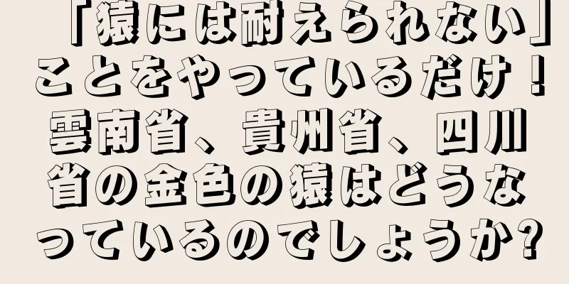 「猿には耐えられない」ことをやっているだけ！雲南省、貴州省、四川省の金色の猿はどうなっているのでしょうか?