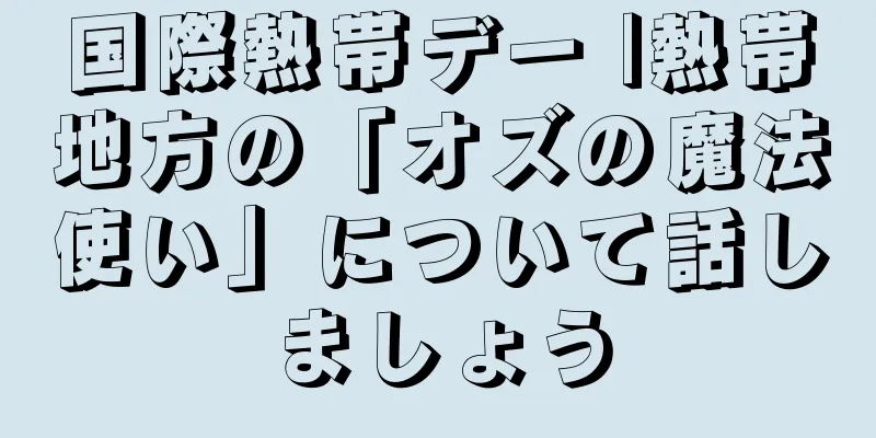国際熱帯デー |熱帯地方の「オズの魔法使い」について話しましょう