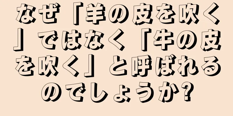 なぜ「羊の皮を吹く」ではなく「牛の皮を吹く」と呼ばれるのでしょうか?