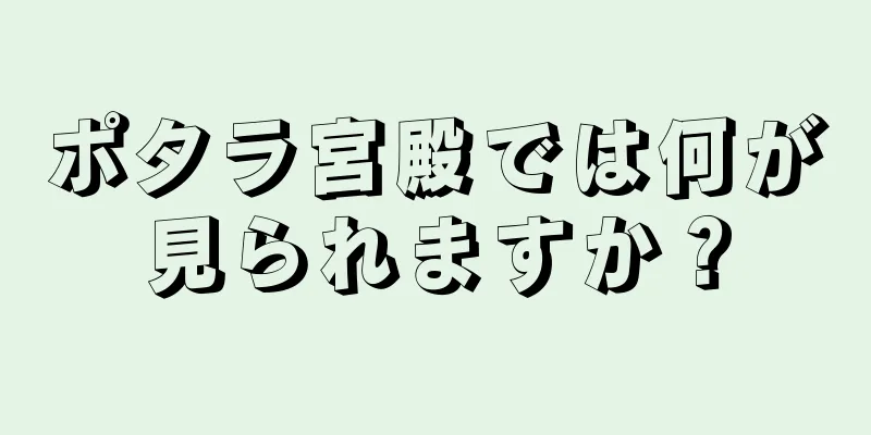 ポタラ宮殿では何が見られますか？