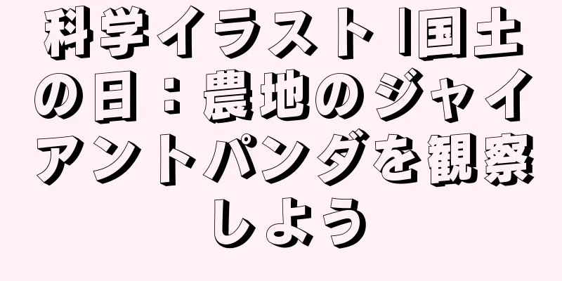 科学イラスト |国土の日：農地のジャイアントパンダを観察しよう