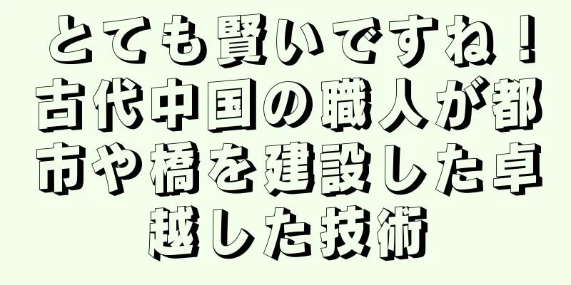 とても賢いですね！古代中国の職人が都市や橋を建設した卓越した技術