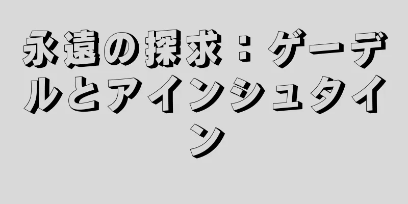 永遠の探求：ゲーデルとアインシュタイン