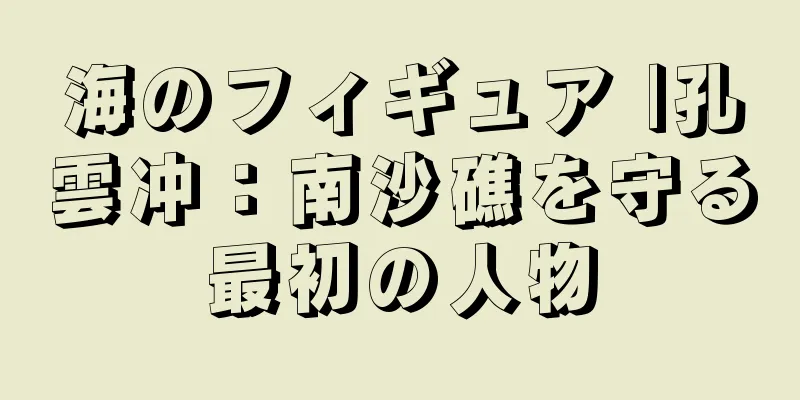 海のフィギュア |孔雲冲：南沙礁を守る最初の人物