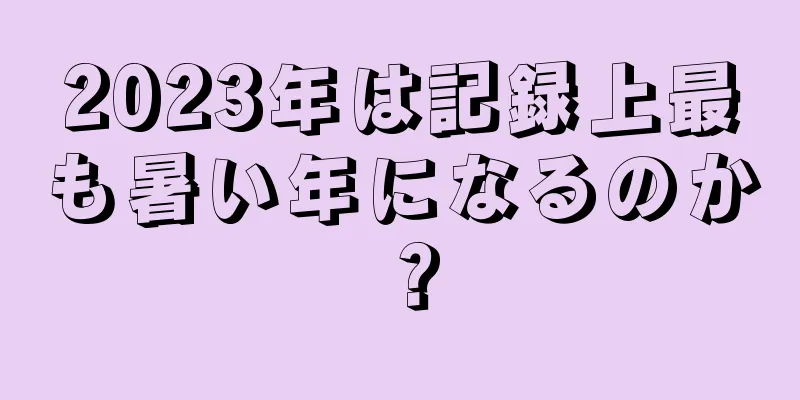 2023年は記録上最も暑い年になるのか？