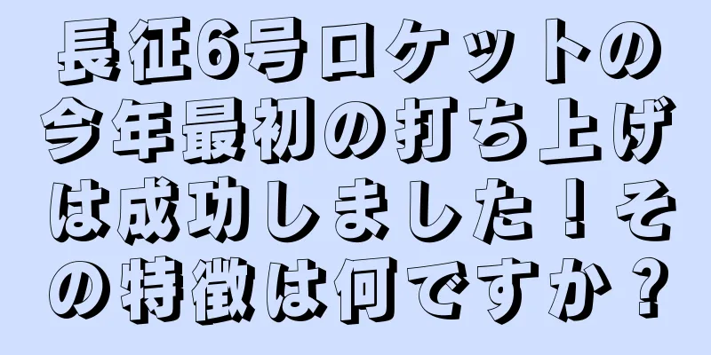 長征6号ロケットの今年最初の打ち上げは成功しました！その特徴は何ですか？