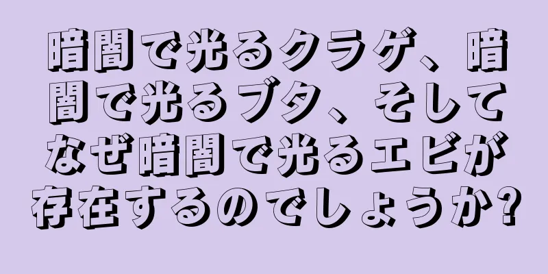 暗闇で光るクラゲ、暗闇で光るブタ、そしてなぜ暗闇で光るエビが存在するのでしょうか?
