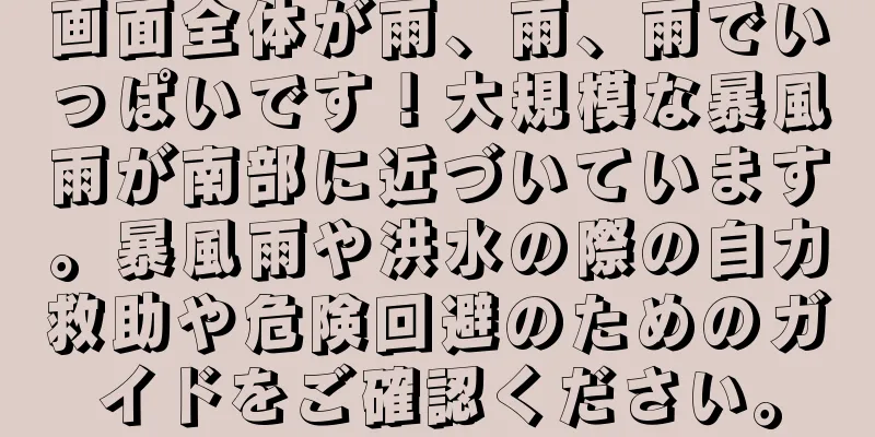 画面全体が雨、雨、雨でいっぱいです！大規模な暴風雨が南部に近づいています。暴風雨や洪水の際の自力救助や危険回避のためのガイドをご確認ください。