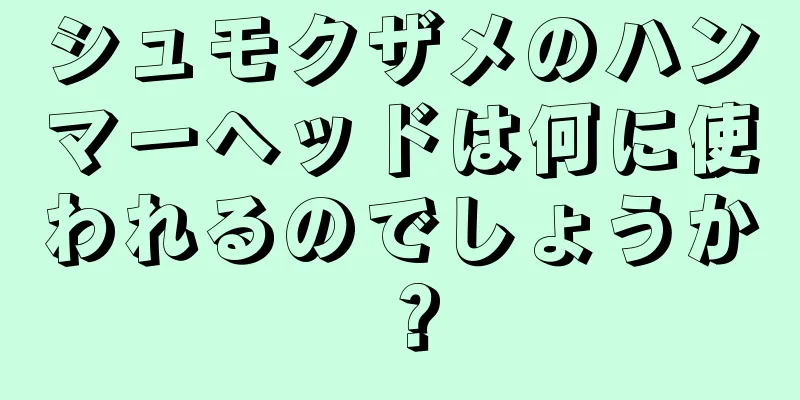 シュモクザメのハンマーヘッドは何に使われるのでしょうか？