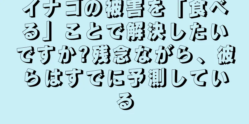 イナゴの被害を「食べる」ことで解決したいですか?残念ながら、彼らはすでに予測している