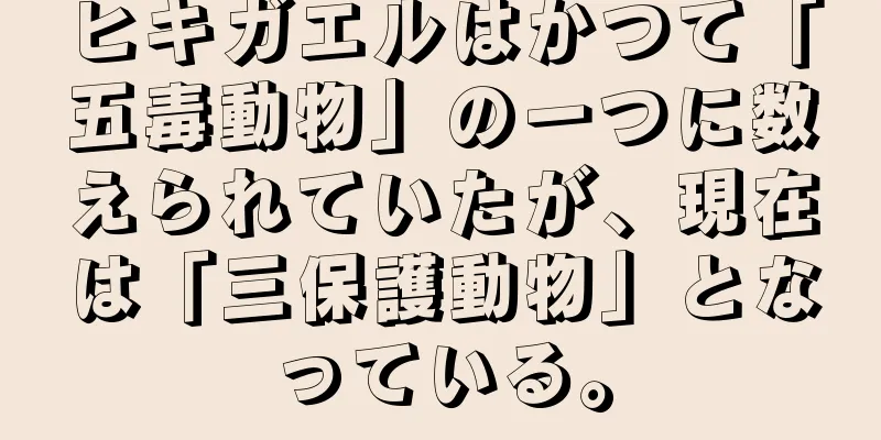 ヒキガエルはかつて「五毒動物」の一つに数えられていたが、現在は「三保護動物」となっている。
