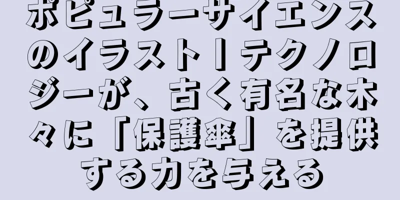 ポピュラーサイエンスのイラスト丨テクノロジーが、古く有名な木々に「保護傘」を提供する力を与える