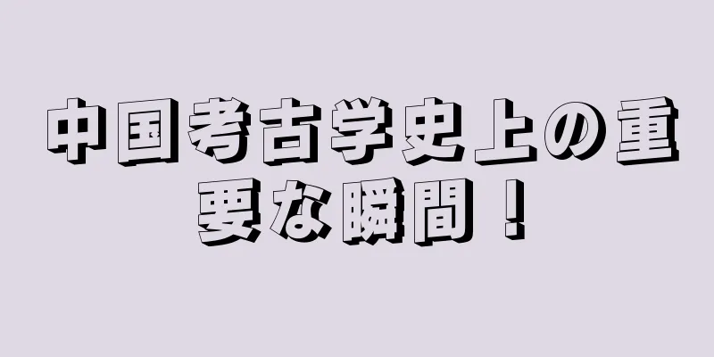中国考古学史上の重要な瞬間！