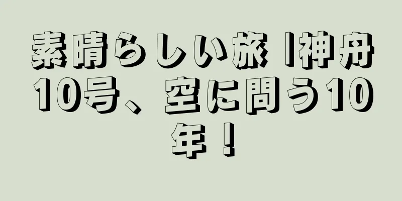 素晴らしい旅 |神舟10号、空に問う10年！