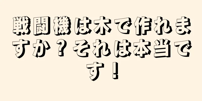 戦闘機は木で作れますか？それは本当です！