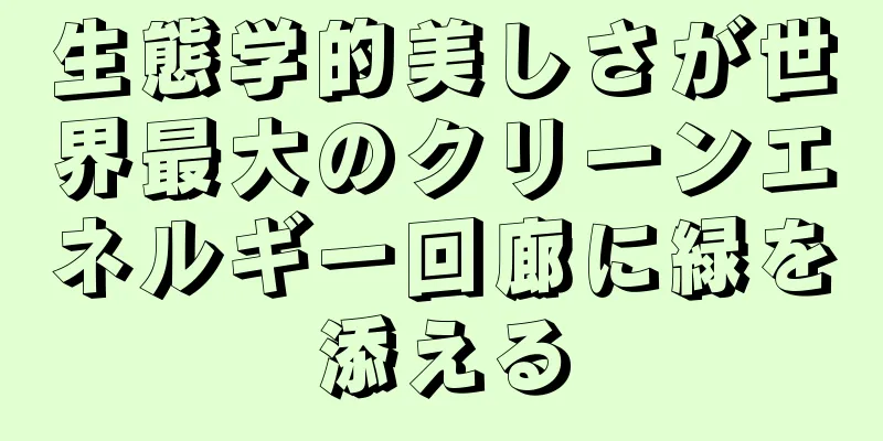 生態学的美しさが世界最大のクリーンエネルギー回廊に緑を添える