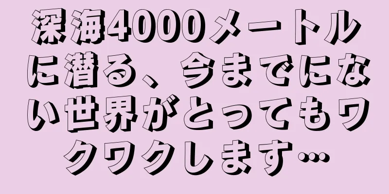 深海4000メートルに潜る、今までにない世界がとってもワクワクします…