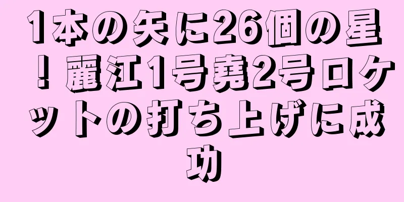 1本の矢に26個の星！麗江1号堯2号ロケットの打ち上げに成功