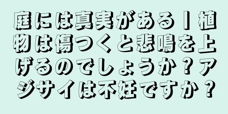 庭には真実がある丨植物は傷つくと悲鳴を上げるのでしょうか？アジサイは不妊ですか？