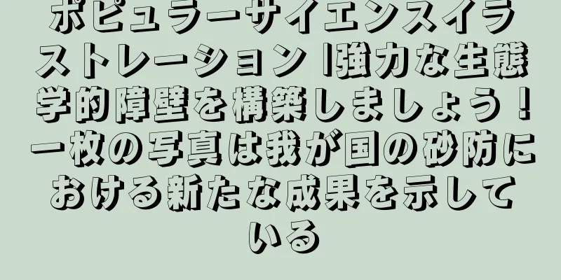 ポピュラーサイエンスイラストレーション |強力な生態学的障壁を構築しましょう！一枚の写真は我が国の砂防における新たな成果を示している