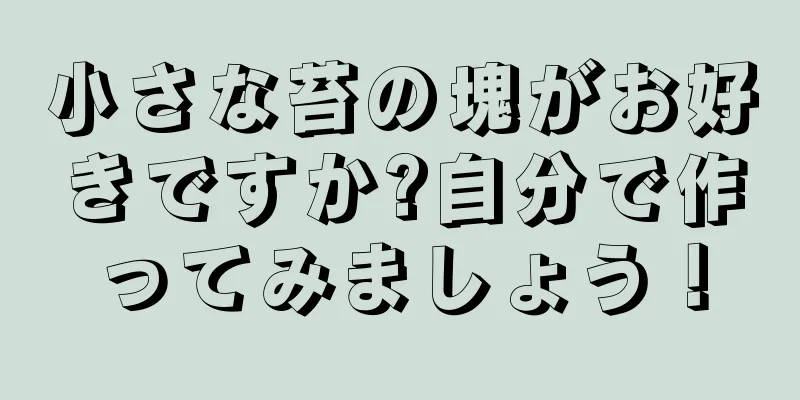 小さな苔の塊がお好きですか?自分で作ってみましょう！