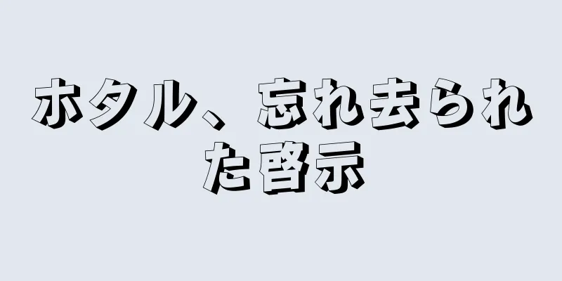 ホタル、忘れ去られた啓示