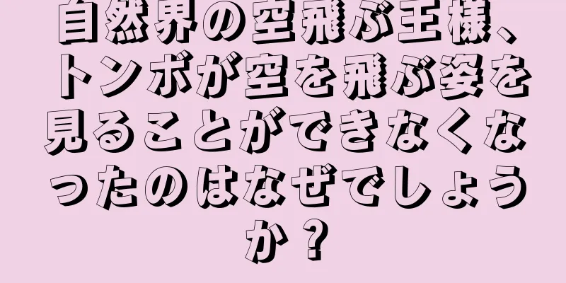 自然界の空飛ぶ王様、トンボが空を飛ぶ姿を見ることができなくなったのはなぜでしょうか？
