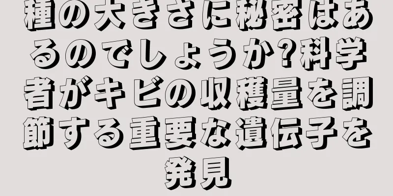 種の大きさに秘密はあるのでしょうか?科学者がキビの収穫量を調節する重要な遺伝子を発見