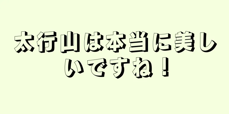 太行山は本当に美しいですね！