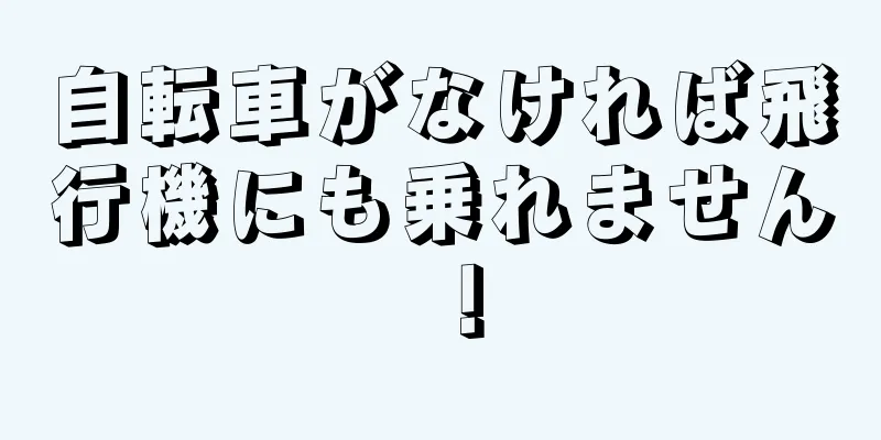 自転車がなければ飛行機にも乗れません！