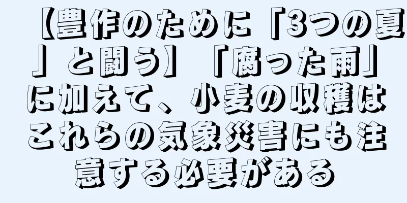 【豊作のために「3つの夏」と闘う】「腐った雨」に加えて、小麦の収穫はこれらの気象災害にも注意する必要がある
