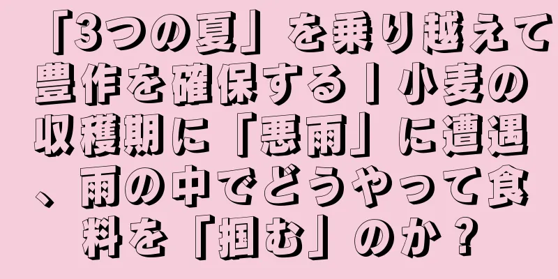 「3つの夏」を乗り越えて豊作を確保する丨小麦の収穫期に「悪雨」に遭遇、雨の中でどうやって食料を「掴む」のか？
