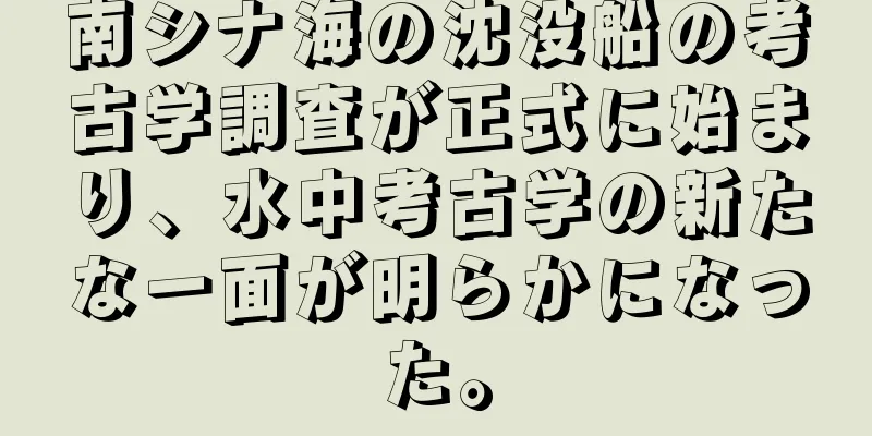 南シナ海の沈没船の考古学調査が正式に始まり、水中考古学の新たな一面が明らかになった。