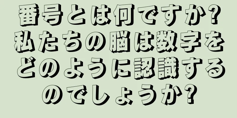 番号とは何ですか?私たちの脳は数字をどのように認識するのでしょうか?