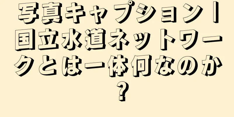 写真キャプション｜国立水道ネットワークとは一体何なのか？
