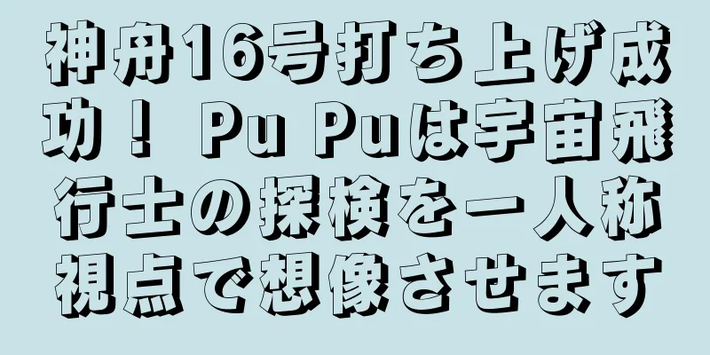 神舟16号打ち上げ成功！ Pu Puは宇宙飛行士の探検を一人称視点で想像させます
