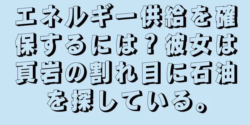 エネルギー供給を確保するには？彼女は頁岩の割れ目に石油を探している。
