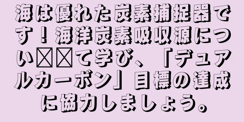 海は優れた炭素捕捉器です！海洋炭素吸収源につい​​て学び、「デュアルカーボン」目標の達成に協力しましょう。