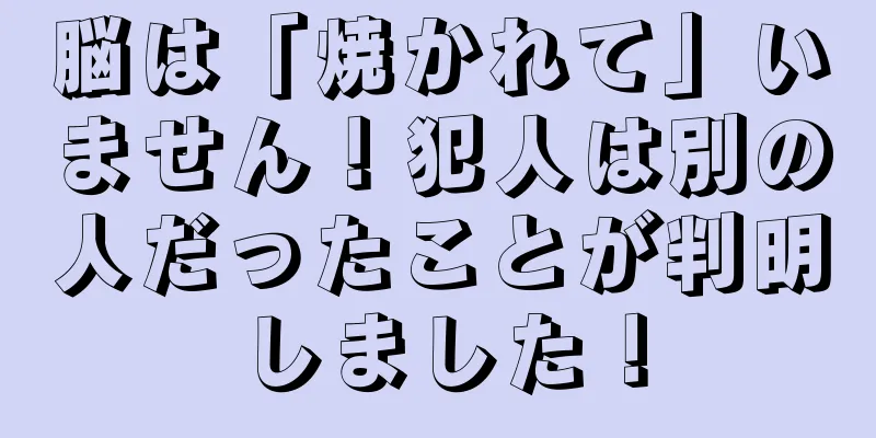 脳は「焼かれて」いません！犯人は別の人だったことが判明しました！
