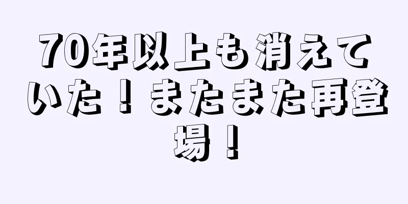 70年以上も消えていた！またまた再登場！